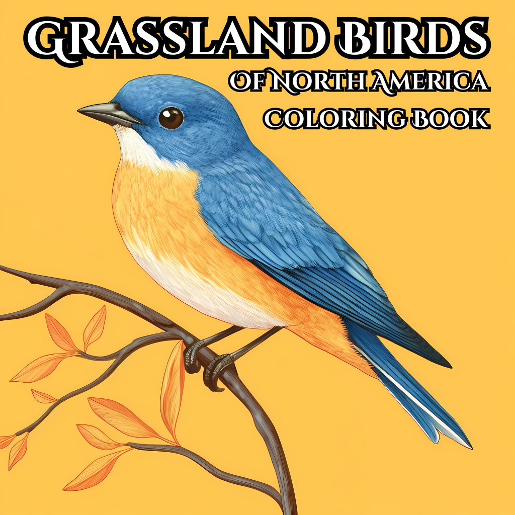 Coloring Book Release – Grassland Birds of North America